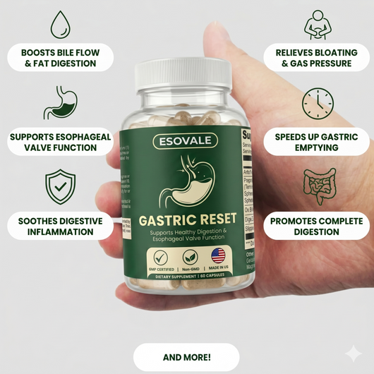 Esovale Gastric Reset — Esophageal Valve Support For Acid Reflux