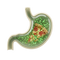 Breaks Down Heavy Meals